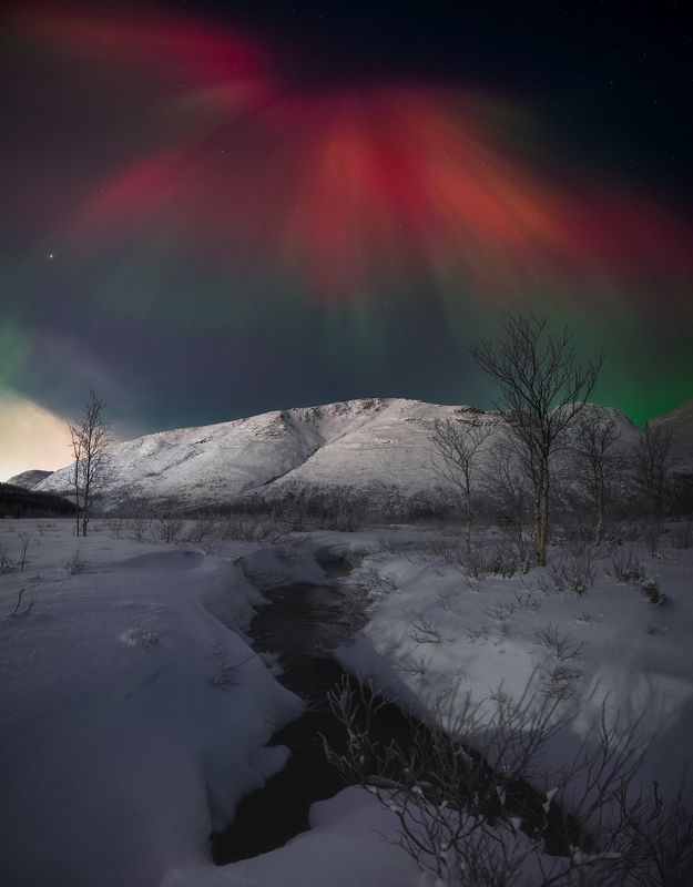 Aurora фото превью