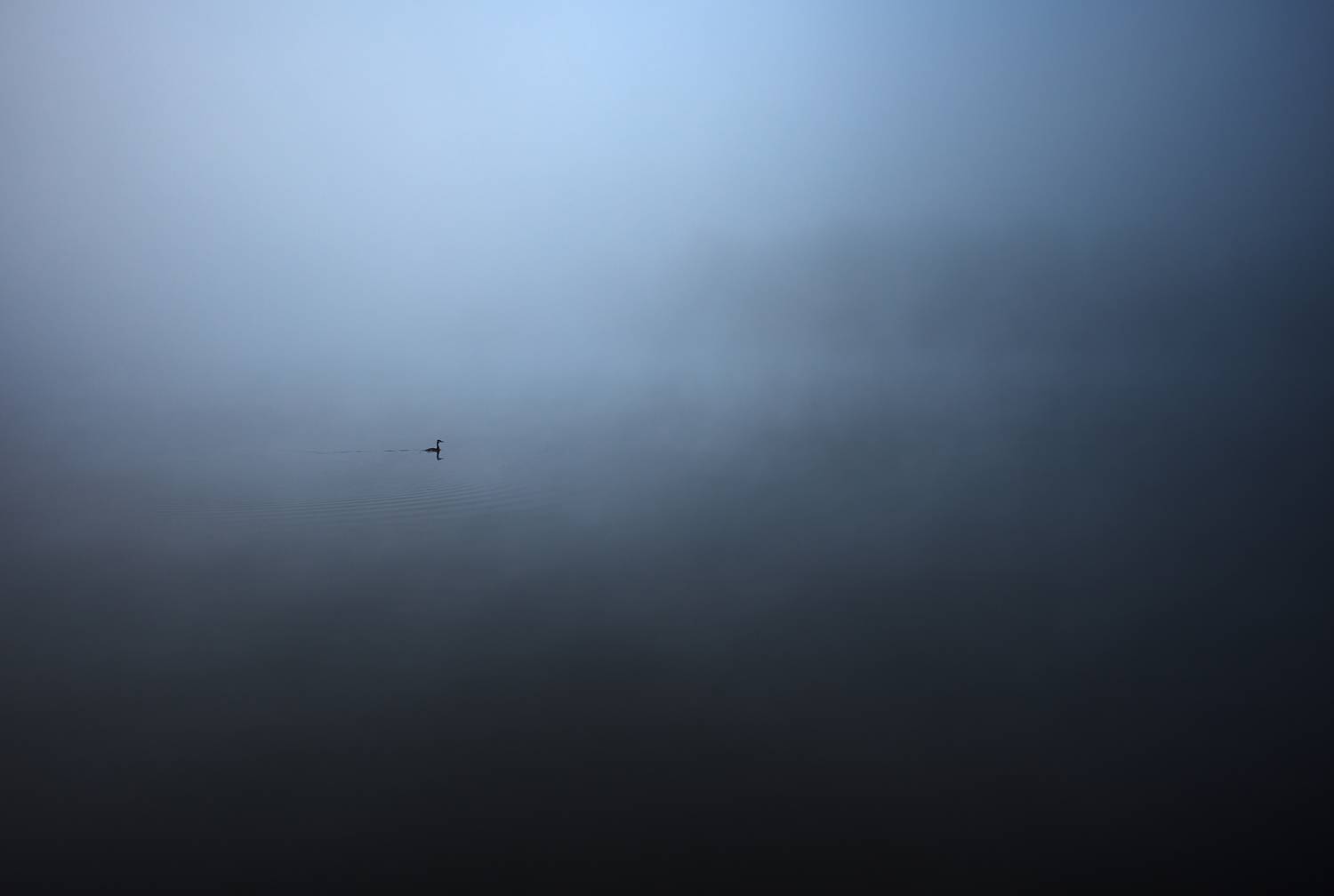 , Анастасия Крылова