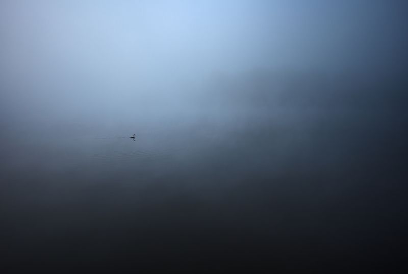 ... фото превью