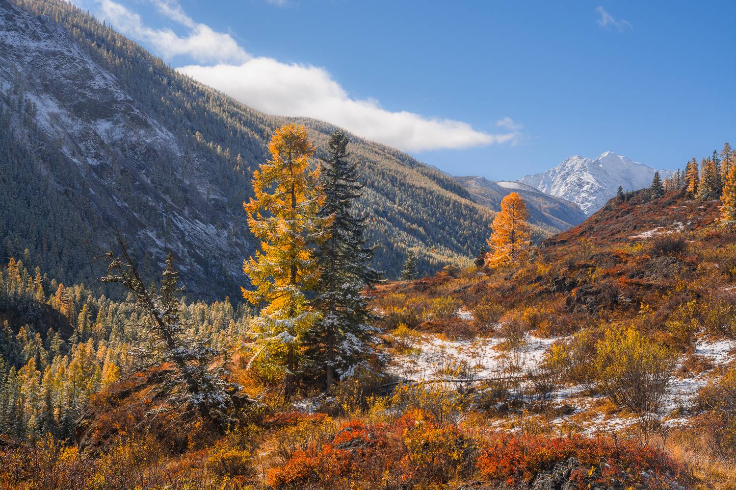 россия, горный алтай,осень, Андрей Поляков
