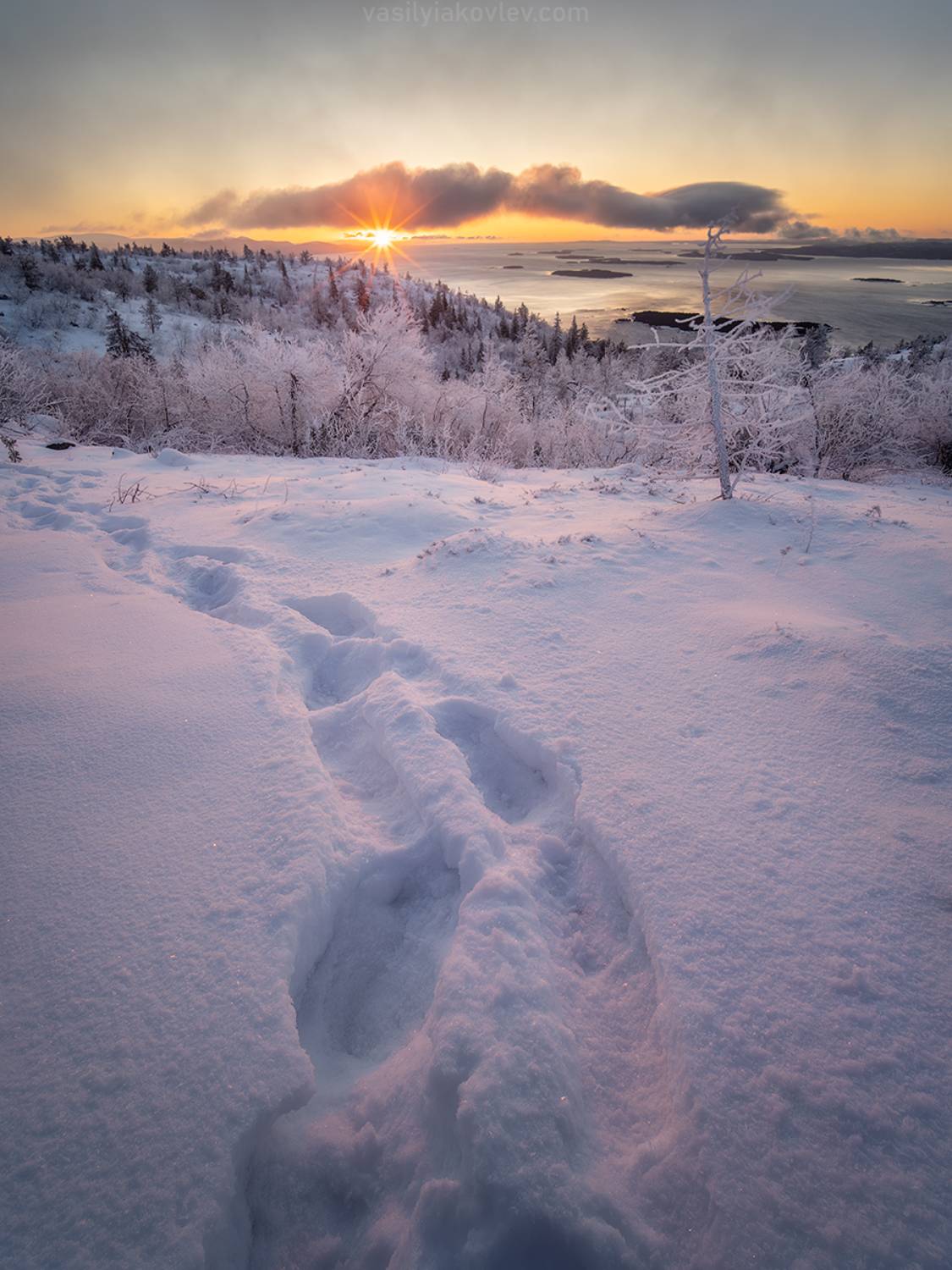 кольский, фототур, яковлевфототур, териберка, северноесияние, арктика, Василий Яковлев