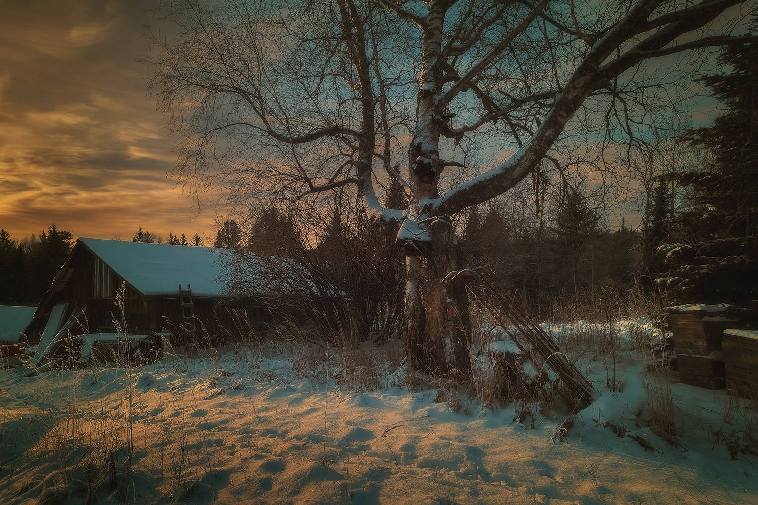 природа пейзаж зима заимка тайга, Холудеев Виктор