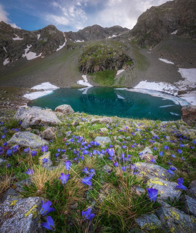 озеро Лазурное в лазурных колокольчиках фото превью