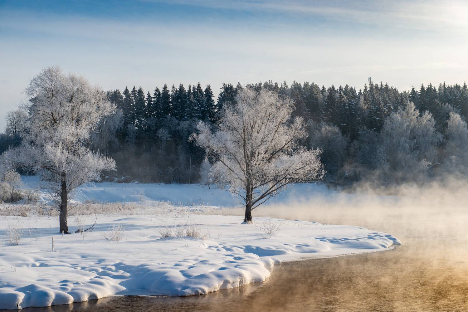 , Александр Шандов