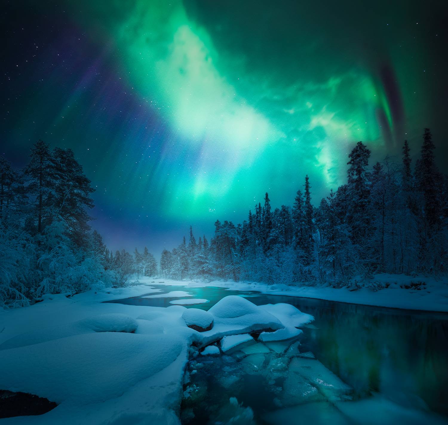 кольский полуостров, кольский, зима, северное сияние, полярное сияние, winter, snow, kola peninsula,  forest, aurora borealis,  Aleksey R.