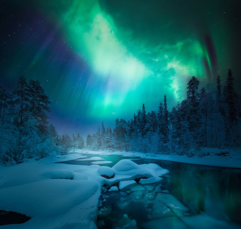 кольский полуостров, кольский, зима, северное сияние, полярное сияние, winter, snow, kola peninsula,  forest, aurora borealis Games of light фото превью