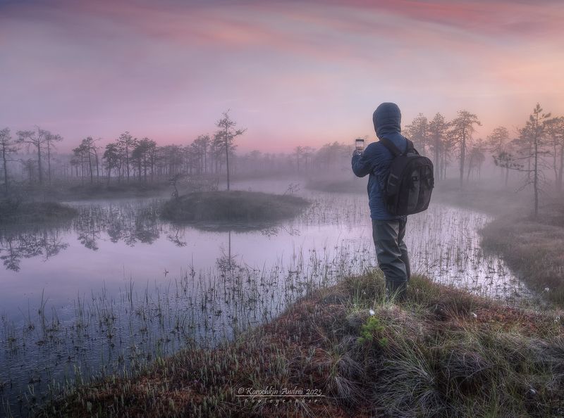 ... утро на болоте ... фото превью