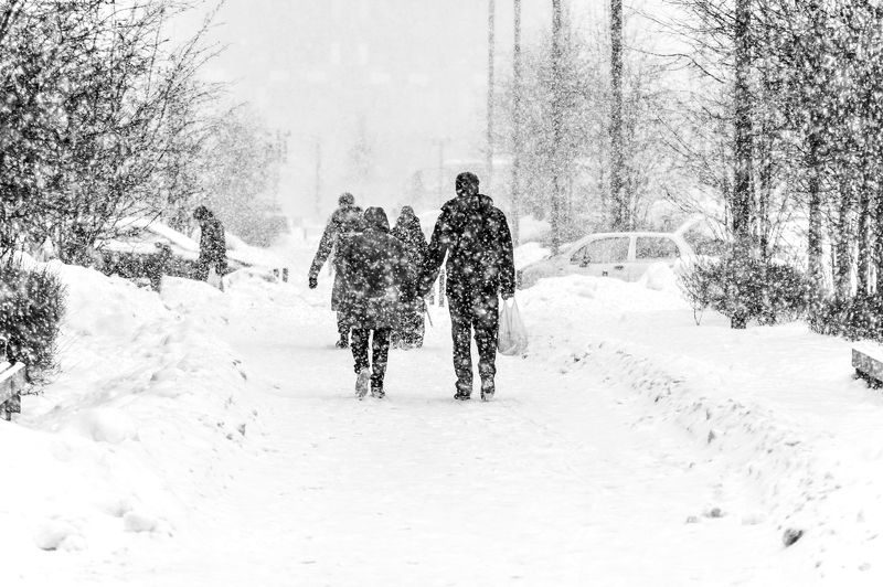 В городе снегопад фото превью