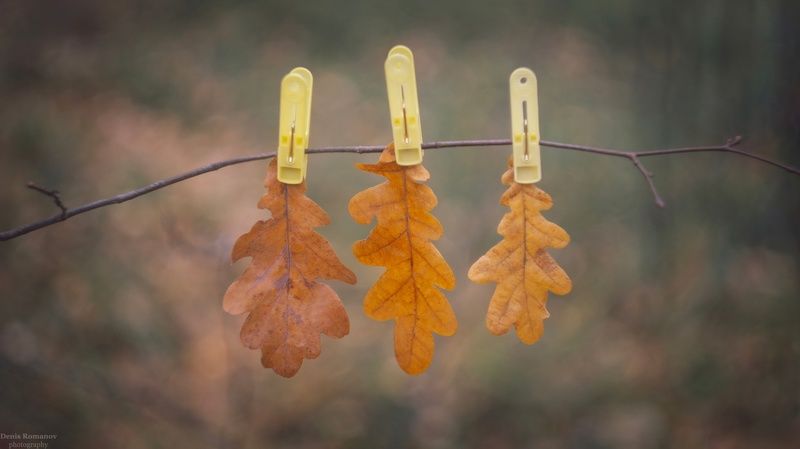 *** фото превью