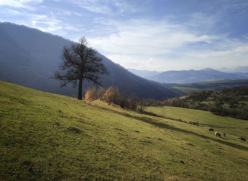 армения, лори Лорийская \