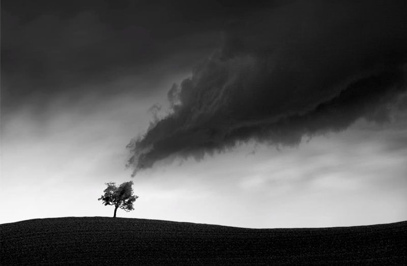 Kiss фото превью