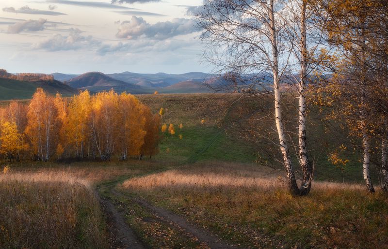 алтайский край, солонешенский район, холмогорье, предгорья, алтайское холмогорье, золотая осень, солонешье Дорогами Холмогорья фото превью