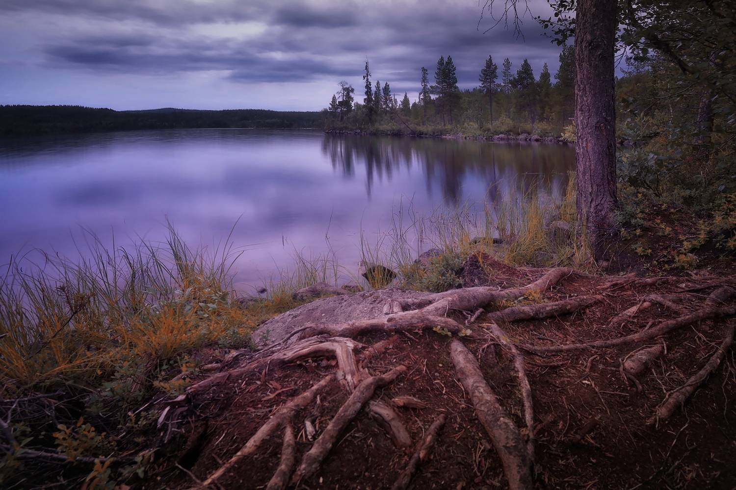 , Алексей Никонов