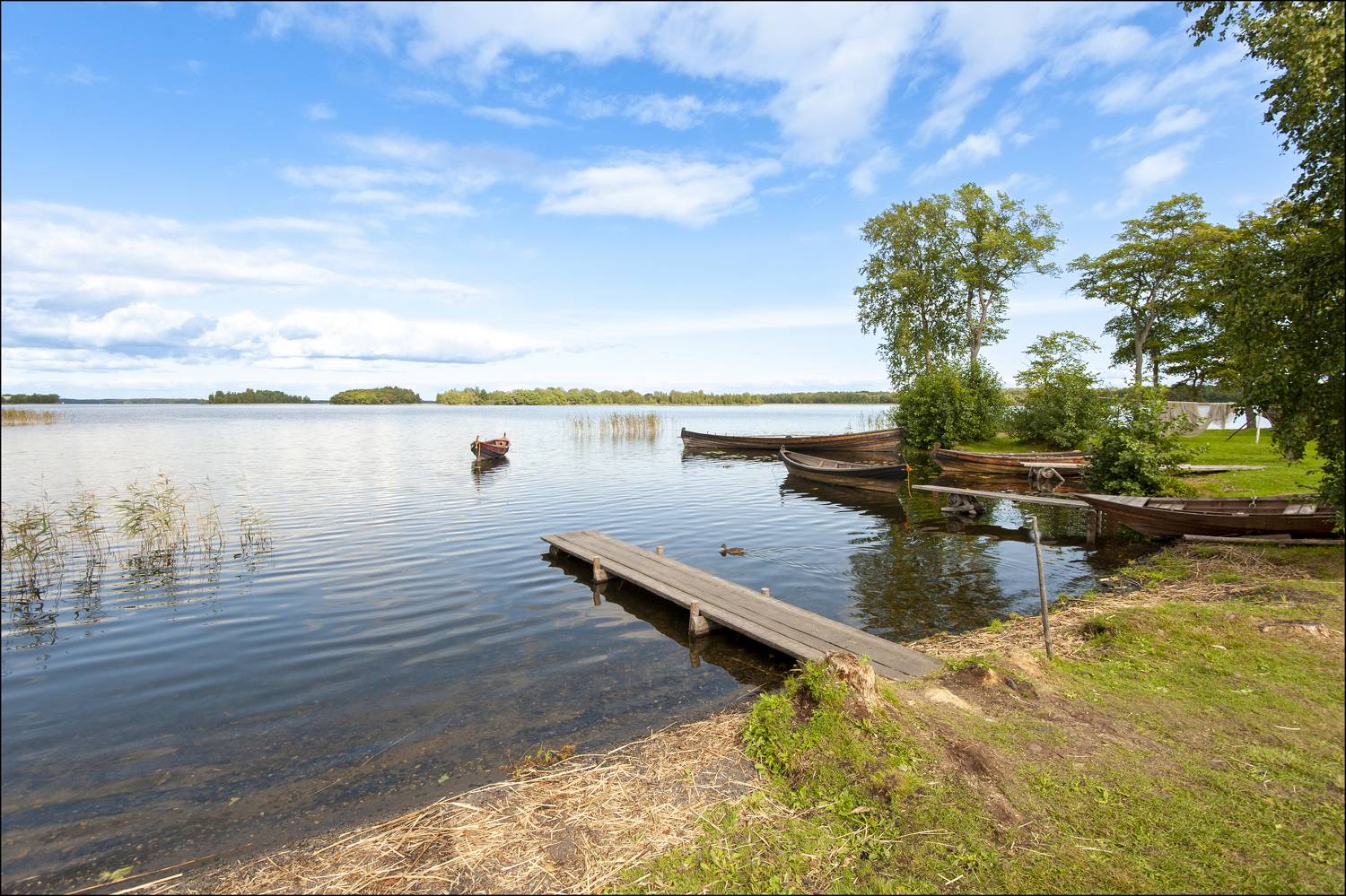 , Георгий Сапожников