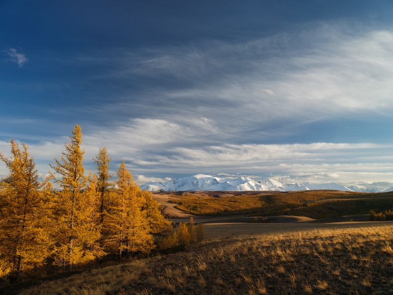 тыва, tuva, сентябрь, золотая осень, горы Сентябрь. / September. фото превью
