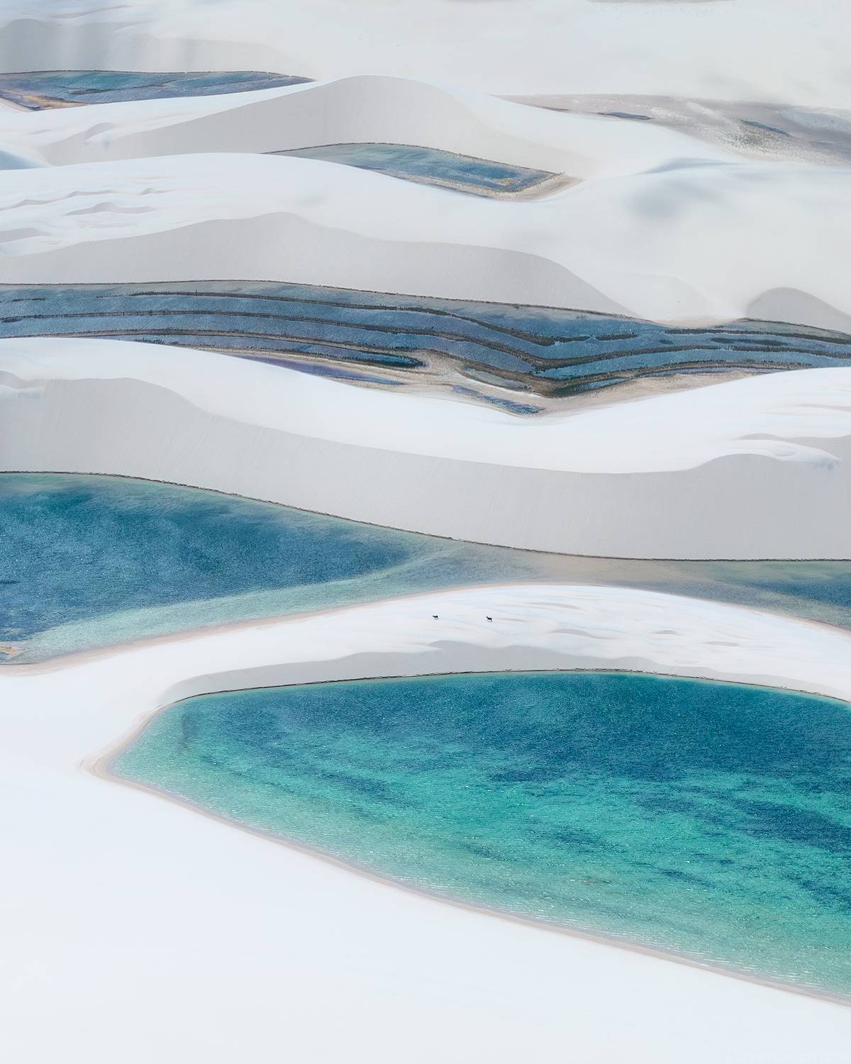 , Даниил Коржонов