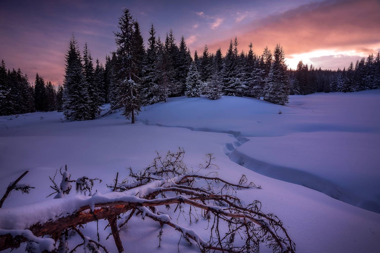 , Mariyana Atanasova - Lucero