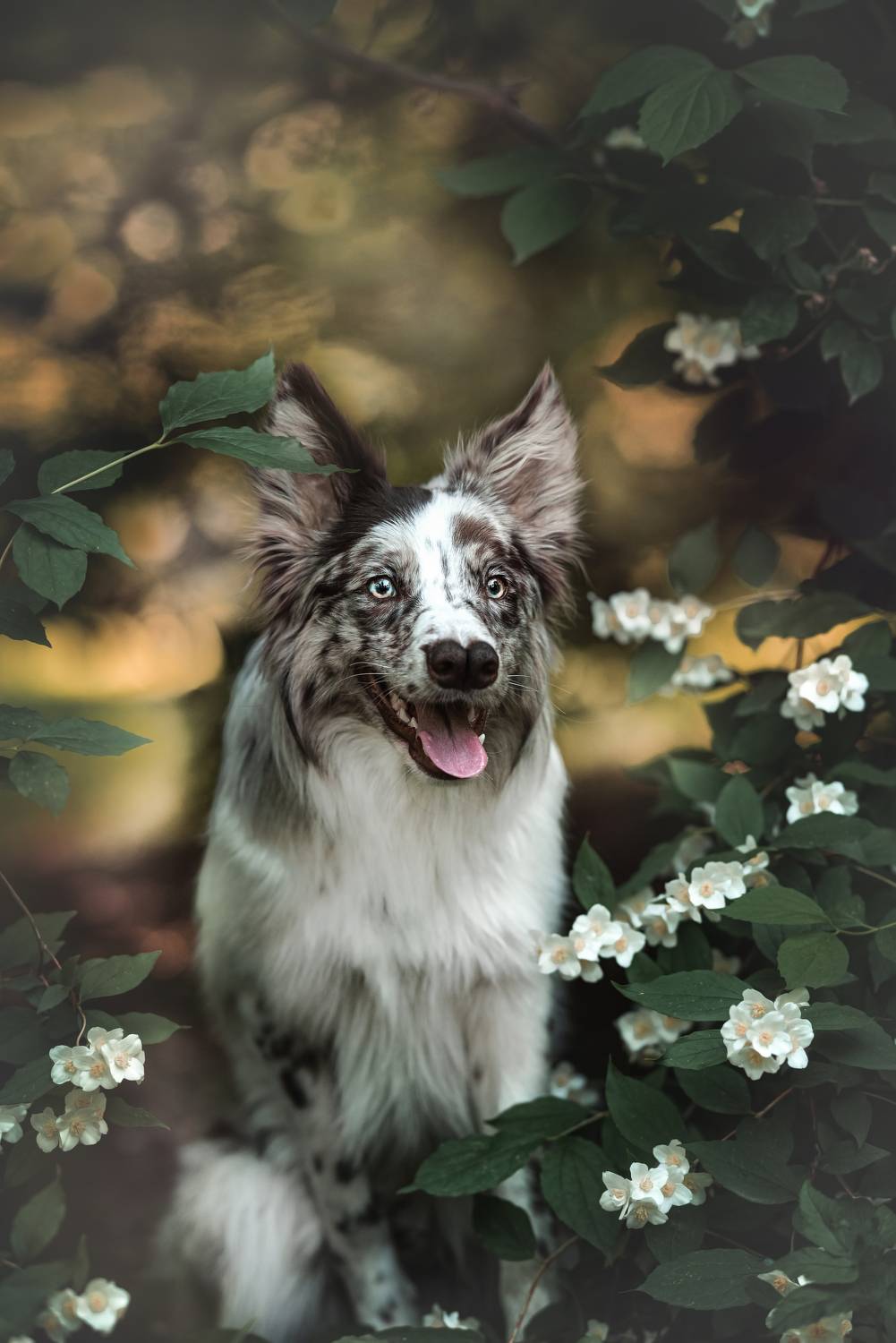 , Ирина Мороз