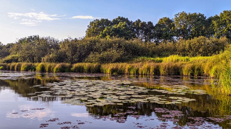 пейзаж, красота, природа Вечер на озере Хутор Бор фото превью