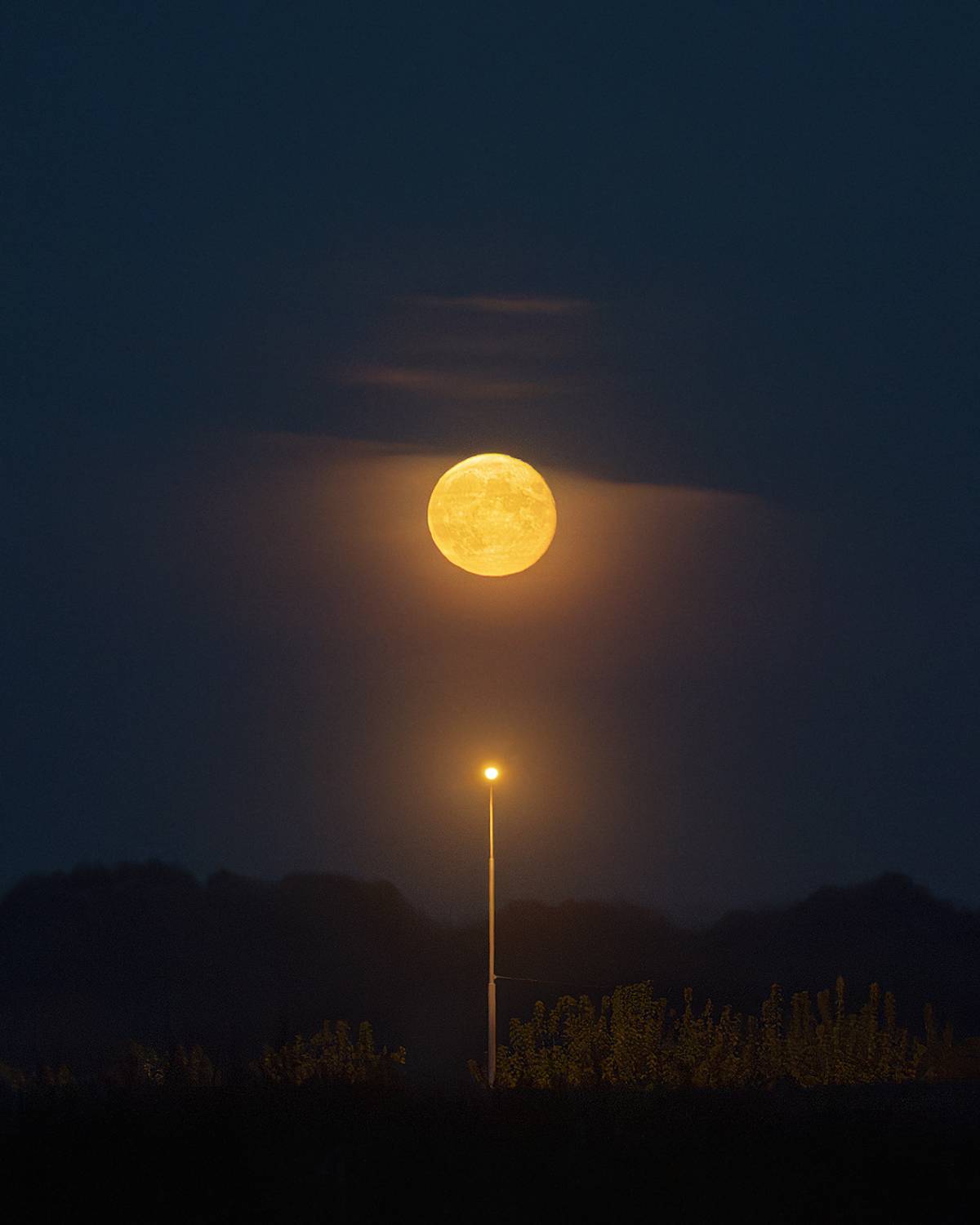 , Курмышов Иван