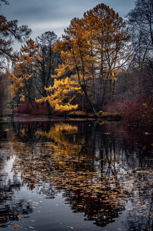 Уходящая осень фото превью