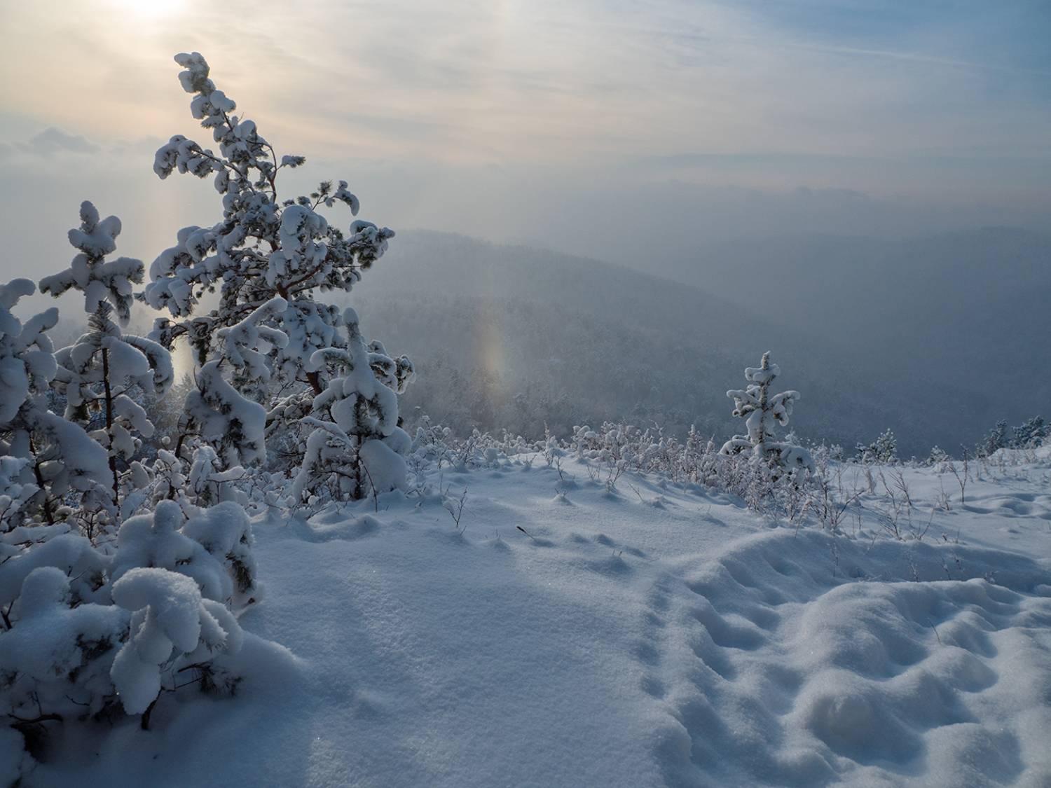, Тришин Виктор