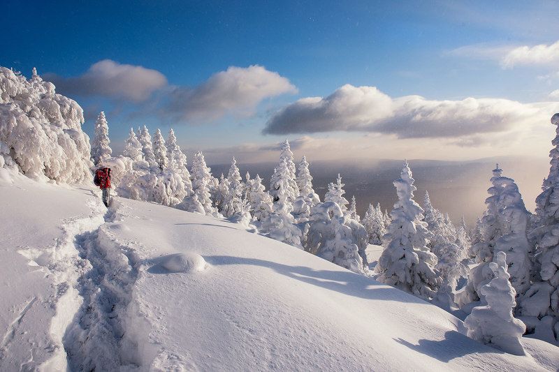 снег, зима, сугробы, елки, облака, природа, пейзаж, уреньга, урал Белоснежные дали фото превью