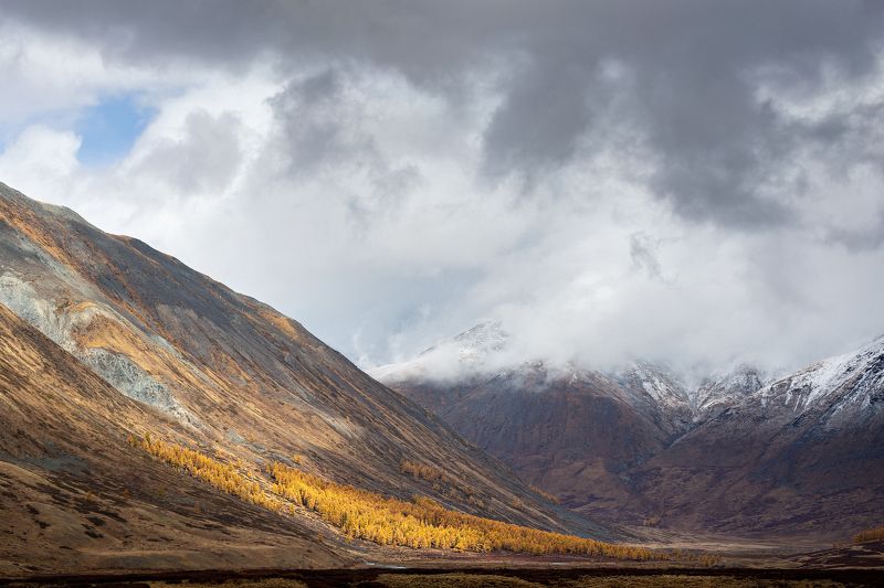 russia, altay, mountains, sky, алтай Ray of light фото превью