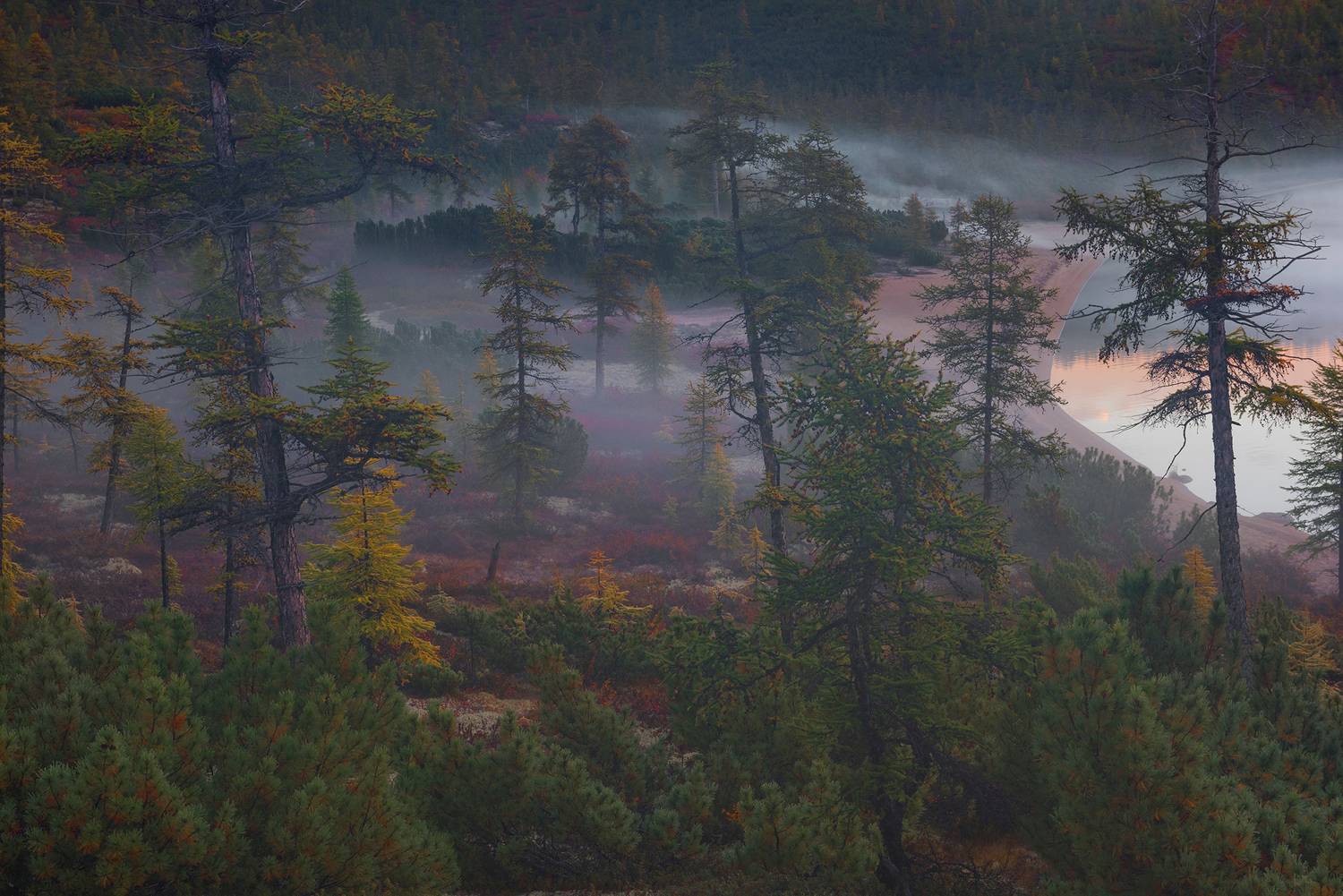 Фототуры с Владимиром Рябковым, #topnature #russpasibo #magic_shots #lovelyRussia #sunset_vision #exclusive_sky  #exclusive_shots #loves_russia2 #photoarena_nature #nature_sultans #nature_perfection #rsa_sky #rsa_sunset #photorussia #rsa_naturepics #sunse, Владимир Рябков