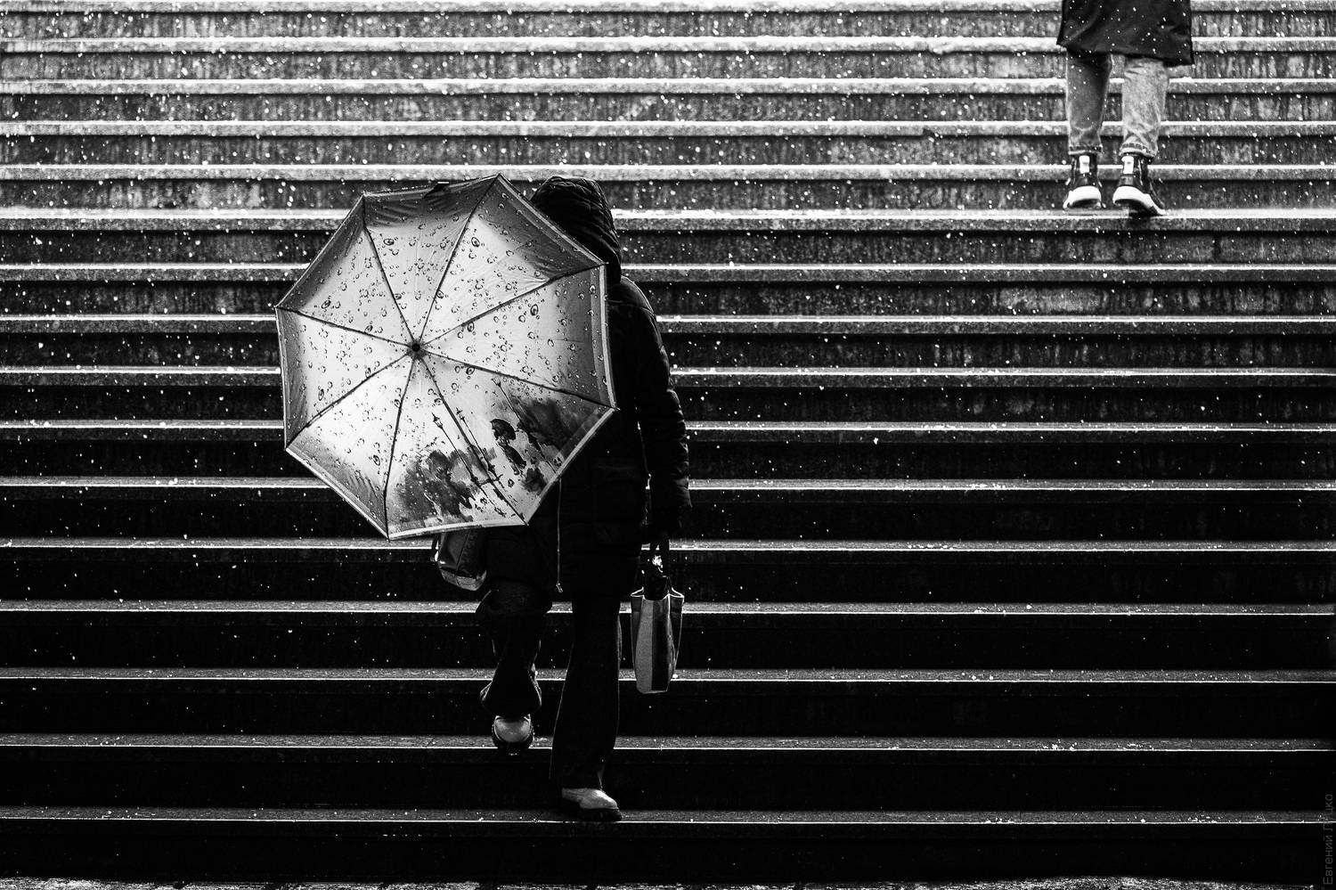 , Евгений Луцко