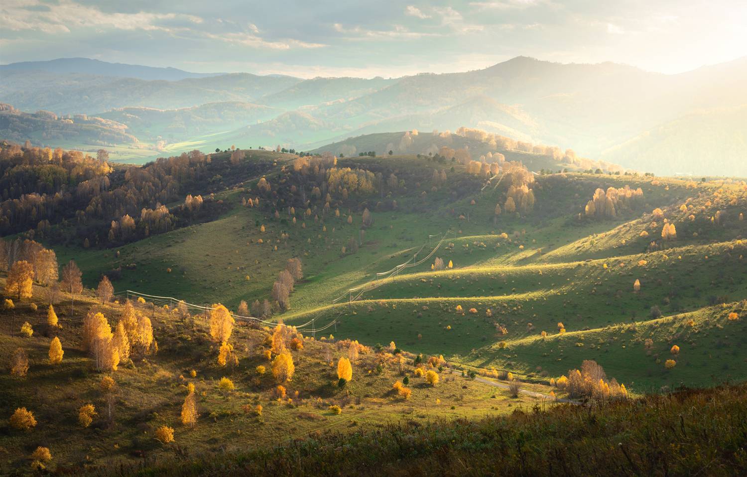 алтайский край, солонешенский район, холмогорье, предгорья, алтайское холмогорье, золотая осень, солонешье, Рубан Алена