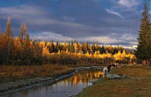 Алтайская пастораль