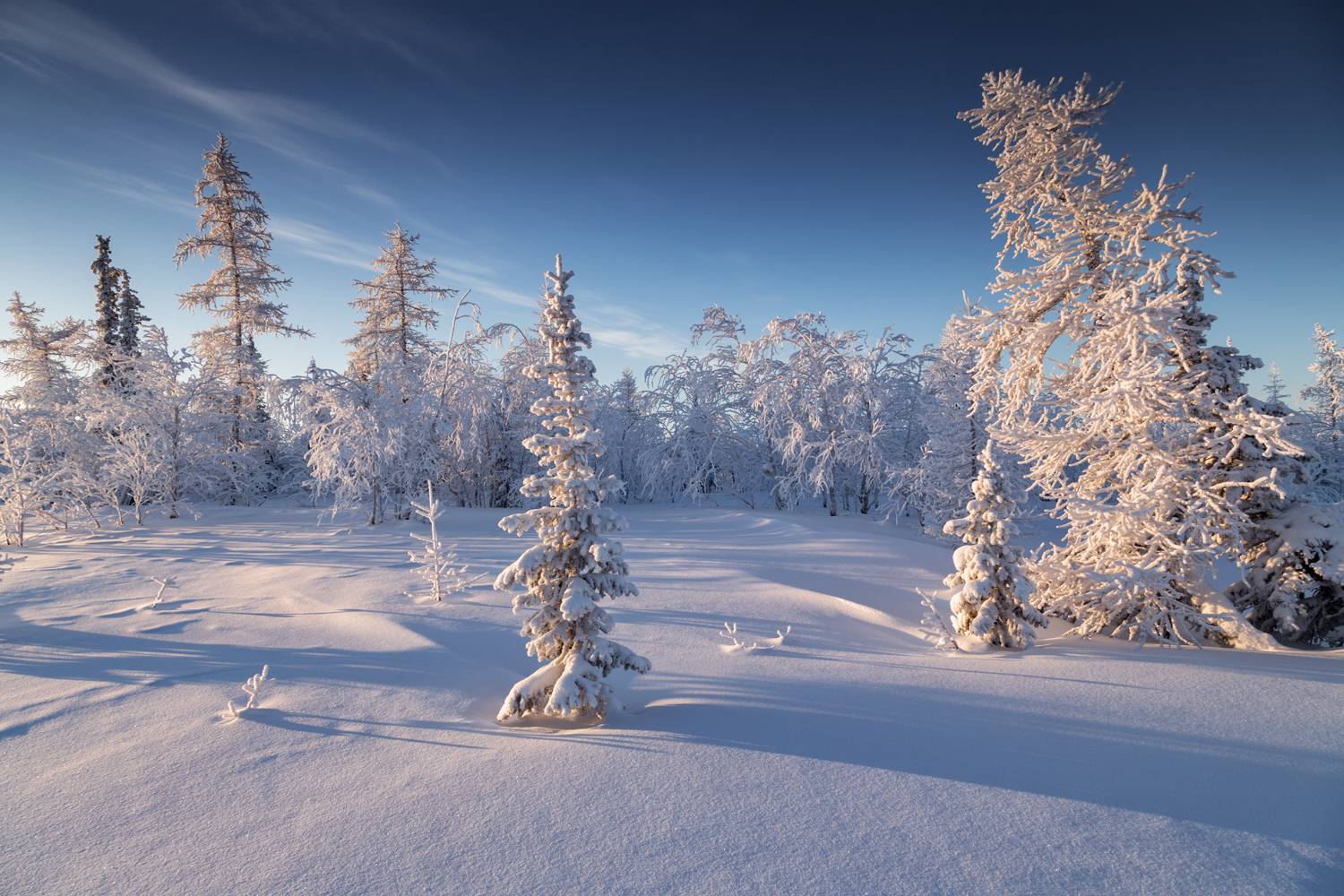 , Евгений Кужилев