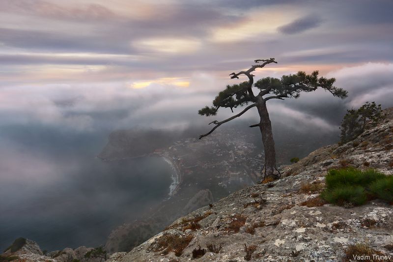 крым, новый свет, гора сокол Гора Сокол фото превью