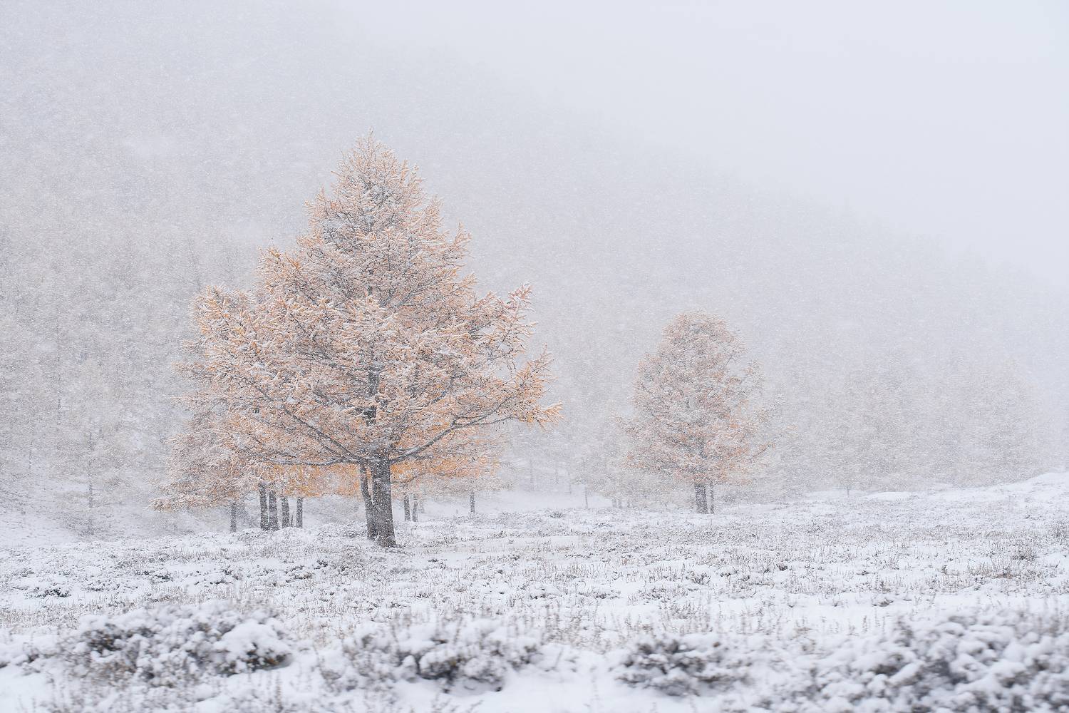 тува, республика тыва,  siberia, тайга, nerozya, russia, tuva, travel, exployer, russia, Александр Нерозя
