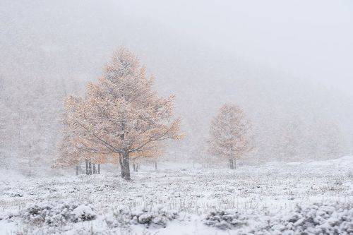 На перевалах снег