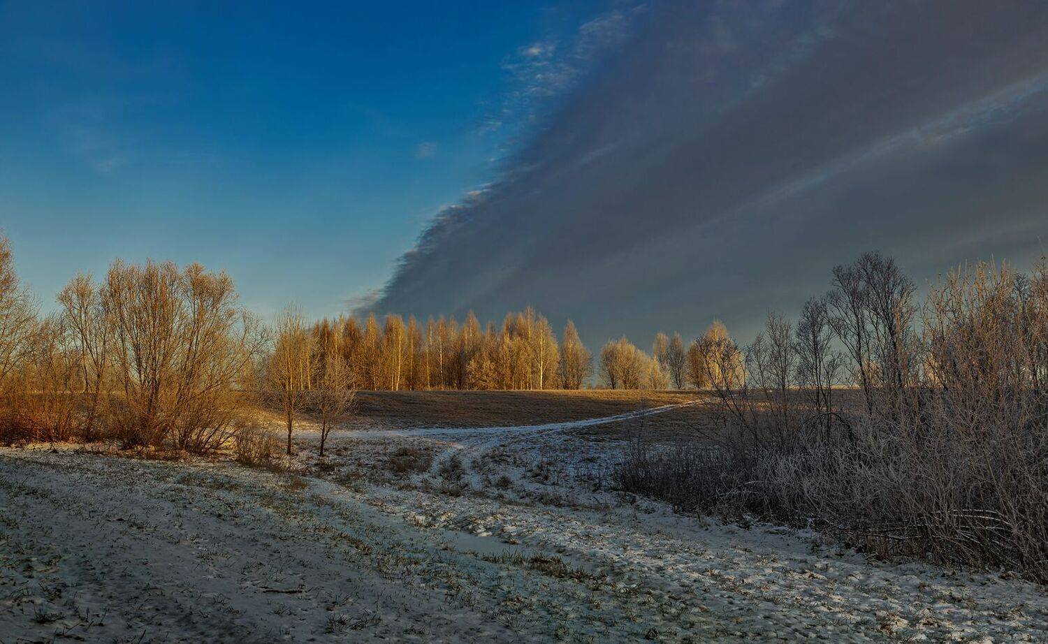 , Алексей Хахлов