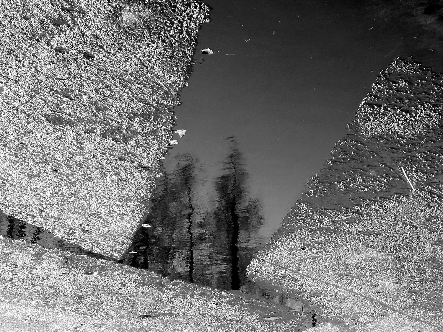 , Антон Лаба