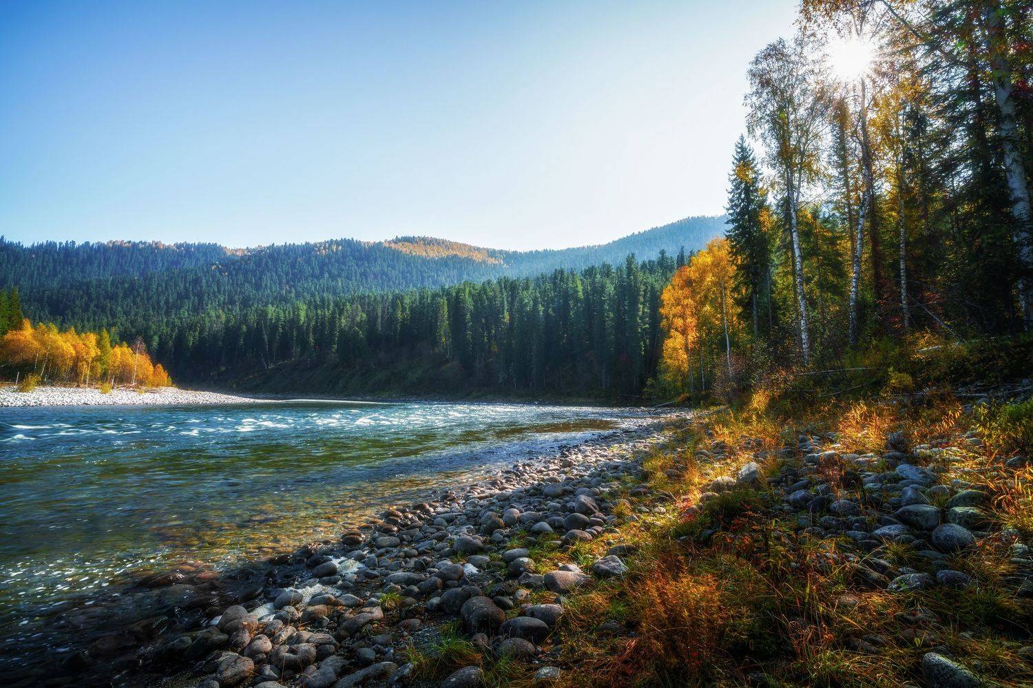 , Nikitin Alexander