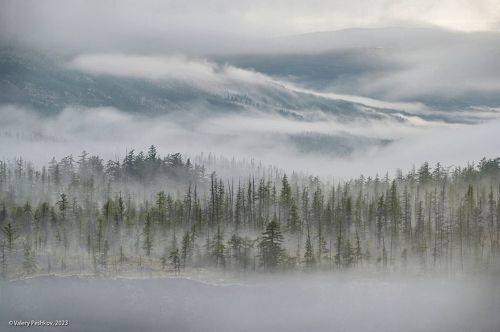 Облачные сюжеты