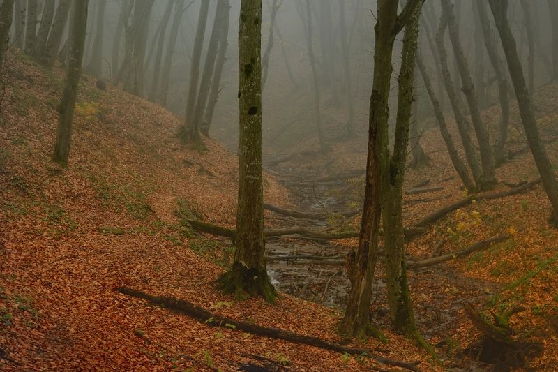 Осеннее утро фото превью
