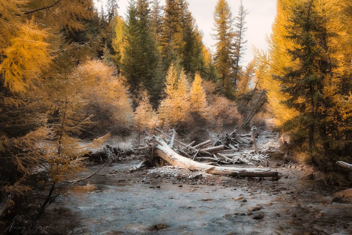 altay, autumn, red, yellow, landscape, mountains, landscape, outdoor, mood, Алексей Вымятнин