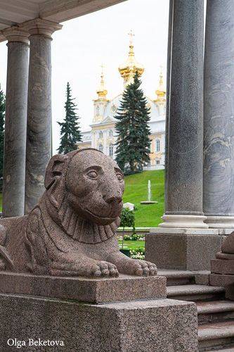 Львы. Петергоф