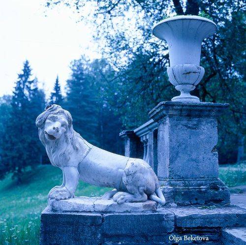 Львы. Павловск