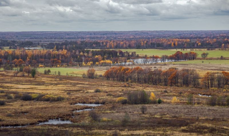 Вязники. Вид на озеро Быковка. фото превью