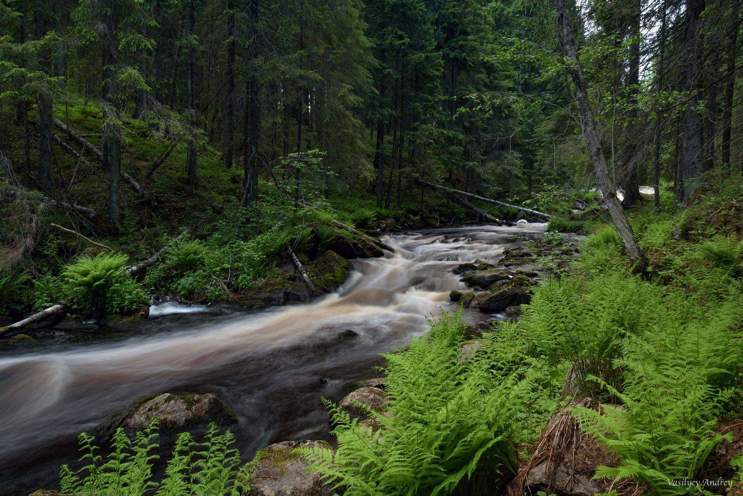 карелия, природа, река иййоки, лето, Vasilyev Andrey