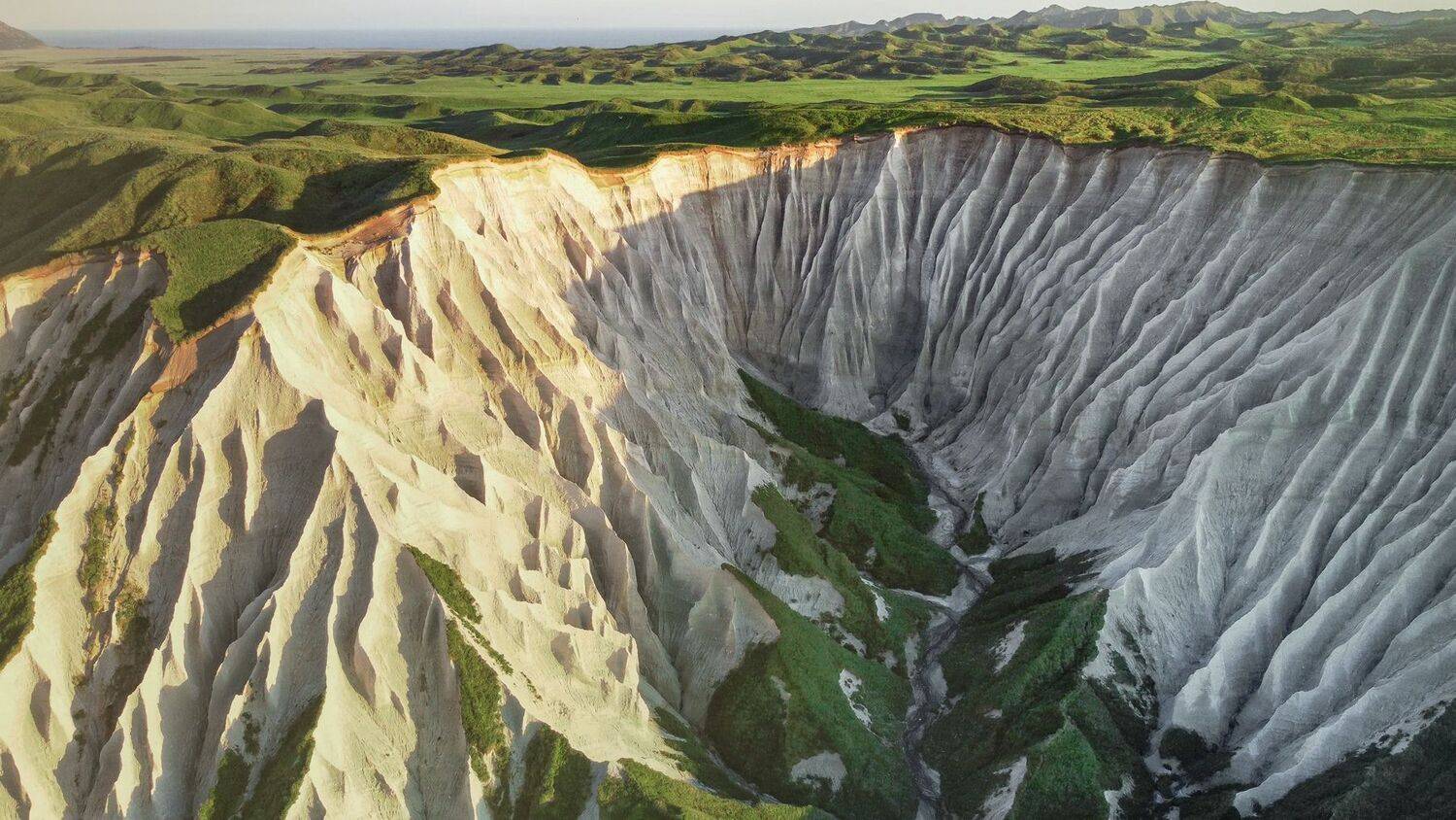 , Лариса Дука