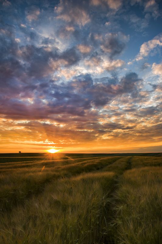 Vertical  Photography, Sunset, SkyNature, Dramatic-Sky, Sułoszowa, Poland, Landscape, Rural, Field, Clouds, Cyfka Sunset in Suloszowa фото превью