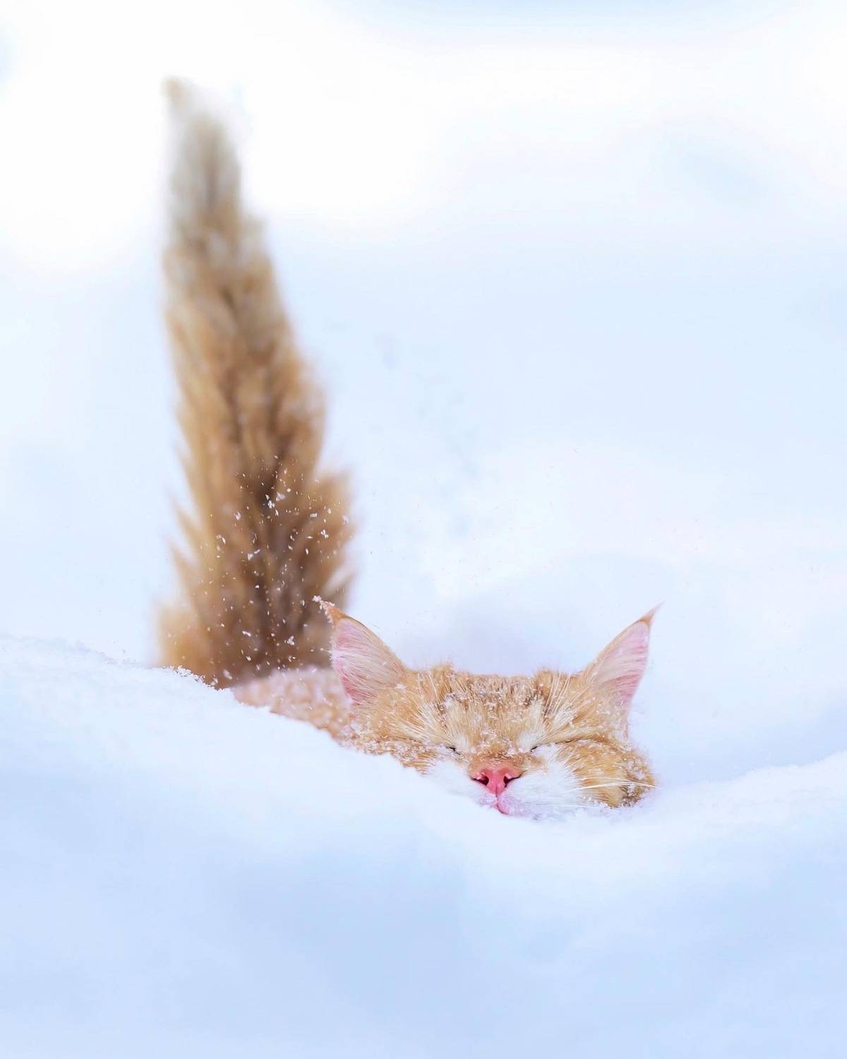 , Пупонин Сергей