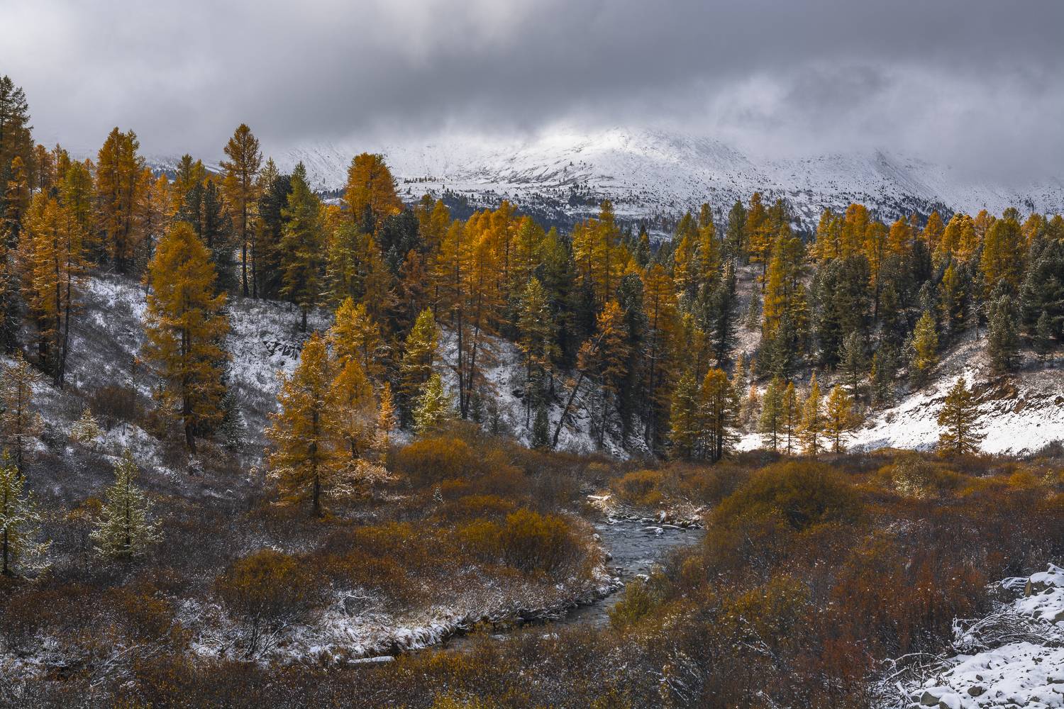 россия, горный алтай,р.чибитка,осень, Андрей Поляков